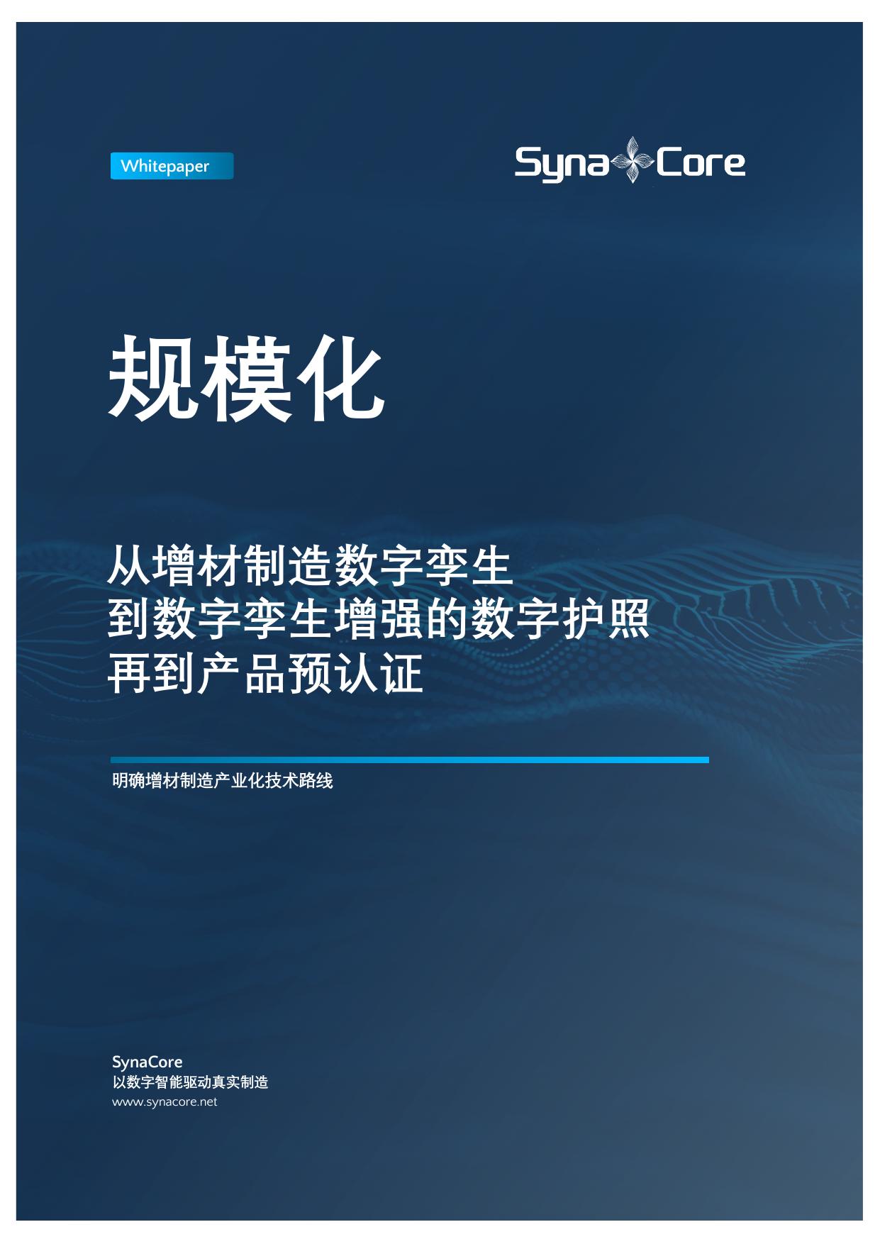 白皮书 1 封面